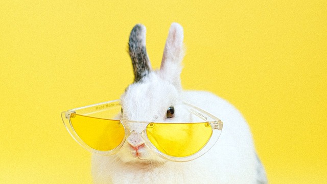 white rabbit wearing yellow eyeglasses